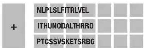 Hormann NT60 - 1