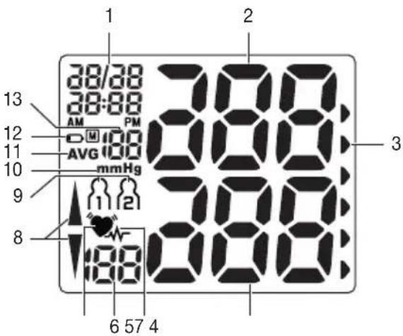 SANITAS SBC 21 - Information on the display: - 1