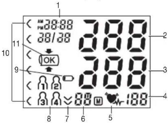SANITAS SBM 18 - Information on the display: - 1