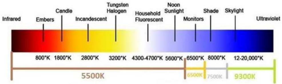 ELO 6553L - Capteur de couleurs - 1
