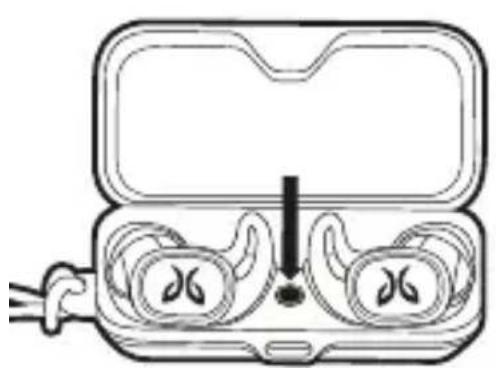 JAYBIRD Vista - 123 - 1