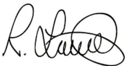 BLACK & DECKER KW1200EKA - EG conformiteitsverklaring - 2