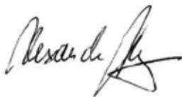 AEG SB 2E 1100 RV - ГЛАВНИ ВРСКИ - 1