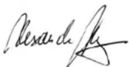 AEG SB 2E 1100 RV - VÖRKU ÜHENDAMINE - 2