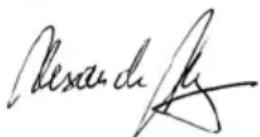 AEG SB 2E 1100 RV - BRANCHEMENT SECTEUR - 2