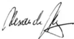 AEG SB 2E 1100 RV - BRANCHEMENT SECTEUR - 1