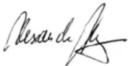 AEG SB 2E 1100 RV - VERKKOLIITÄNTÄ - 1