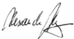 AEG SB 2E 1100 RV - ATBILSTIBA CE NORMAM - 1