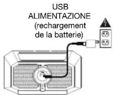 ION Plunge - Schema dei collegamenti - 4