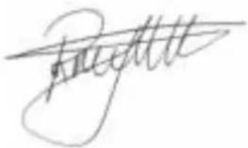 BESTRON ATS300EVP - CE-KONFORMITÄTSERKLÄRUNG - 1