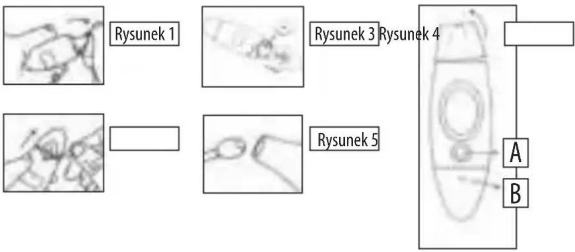 LANAFORM Thermometers 4 in 1 LA090103 - CHARAKTERYSTYKA POMIAR NATYCHMIASTOWY - 1