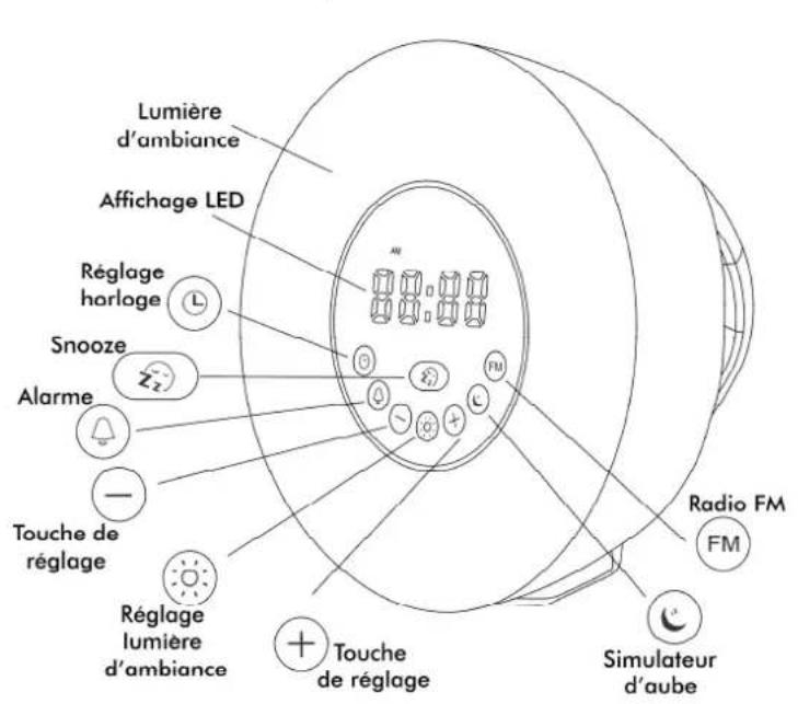 CGV CR Aruna - Description - 1