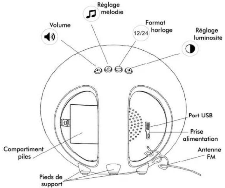 CGV CR Aruna - Description - 2