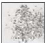 MEDISANA MPS - Karkearakeinen safiirikartio - 1
