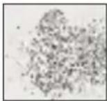 MEDISANA MPS - Aanzetstukken voor de manicure (handverzorging): - 1