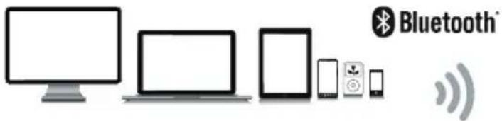 Cyber Acoustics CASP26BT - CONEXION POR CABLE (AUX IN) - 1