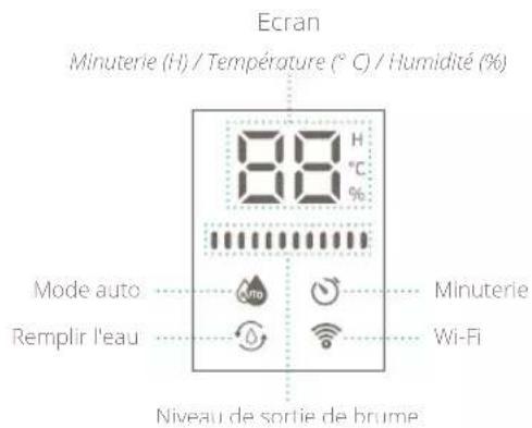 DUUX Beam - Écran - 1