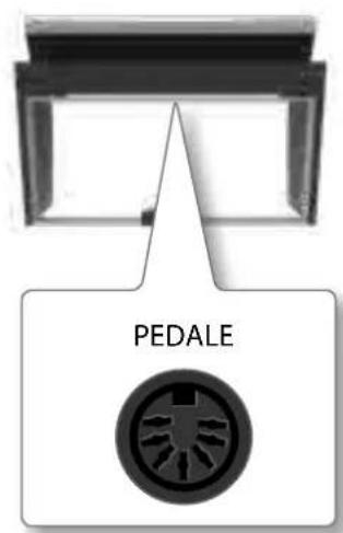 Dexibell VIVO H1 - Anschluss des Pedalkabels - 1