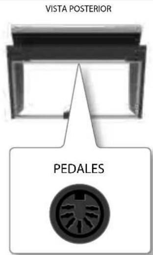 Dexibell VIVO H1 - Conexión del cable del pedal - 1