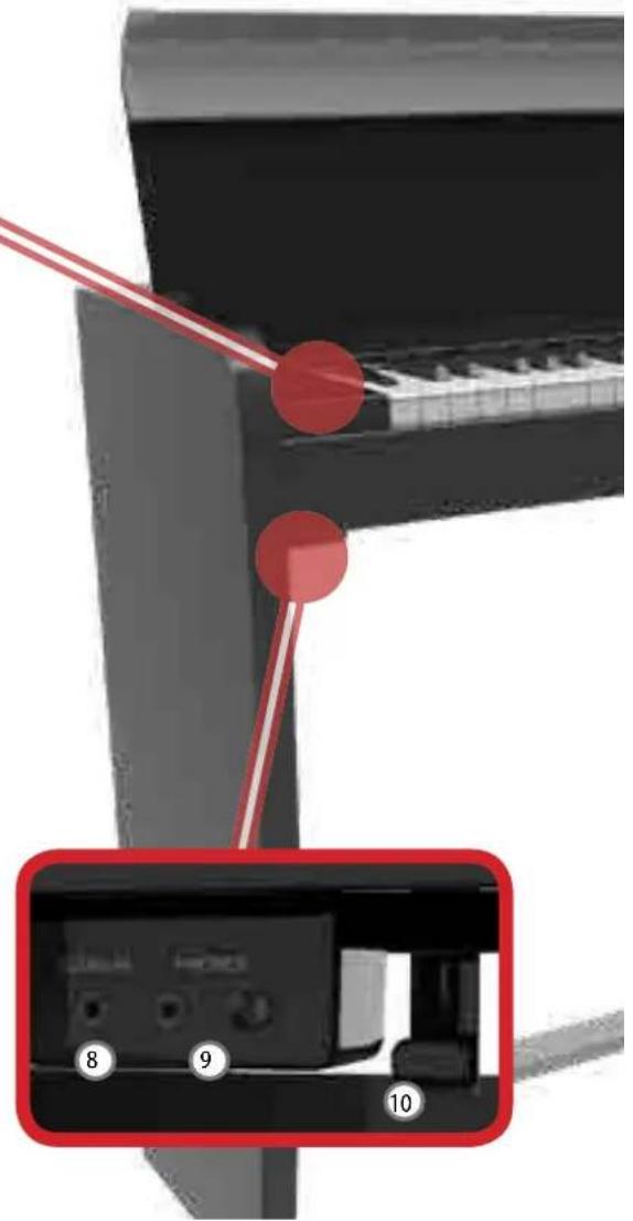 Dexibell VIVO H1 - USB Computer - 1