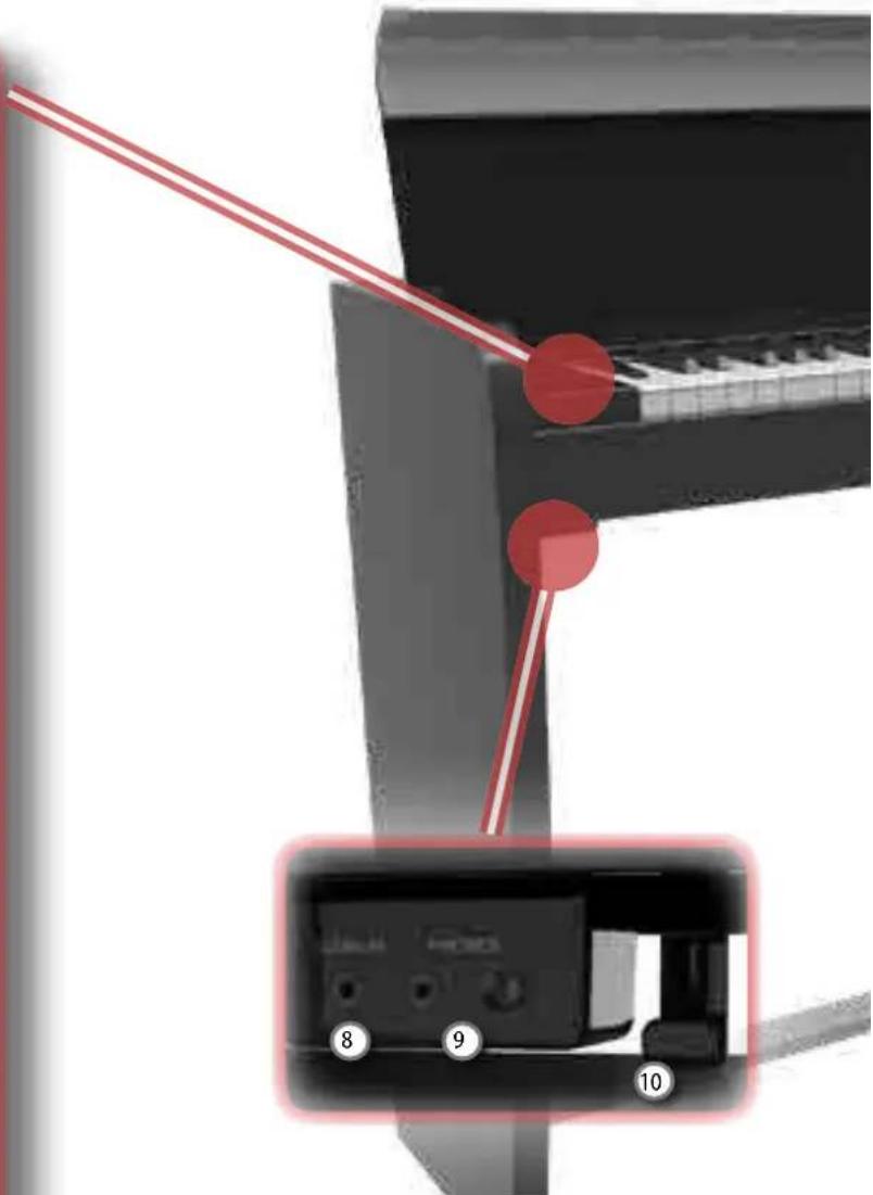 Dexibell VIVO H1 - VOLUME - 1