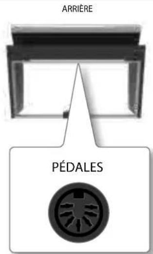 Dexibell VIVO H1 - Branchement du cable des pédales - 1