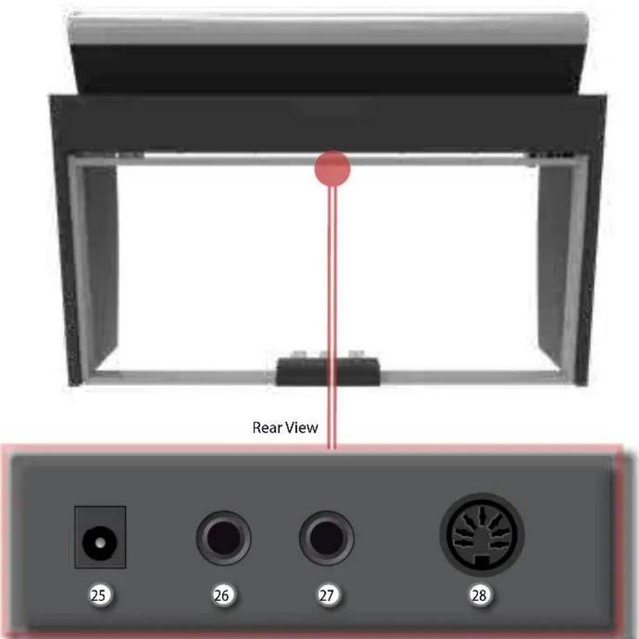 Dexibell VIVO H1 - Rear Side - 1