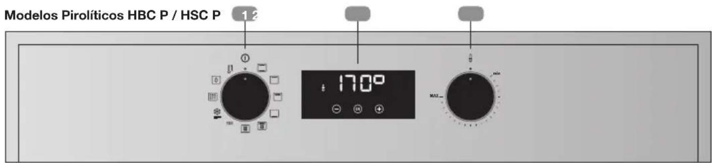 Modelos Pirolíticos HBC P / HSC P 1 2 170° MAX min