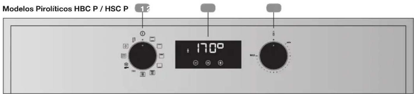 Modelos Pirolíticos HBC P / HSC P 1 2 17:00 MAX min