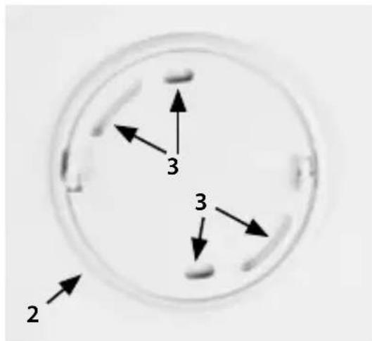 NEDIS DTCTS30WT - Inhaltsverzeichnis - 2