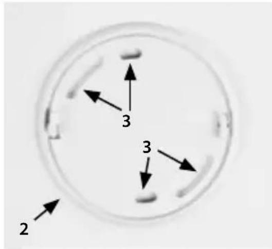NEDIS DTCTS30WT - Inhaltsverzeichnis - 1