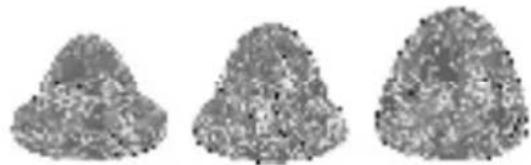 BARTSCHER Joy 150.140 - Types of pressing cones: - 1