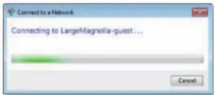 LINKSYS WUSB6300 - Verbinding makes met een ander draadloos netwerk: - 4