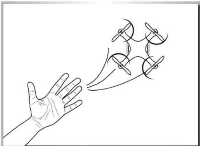 Carson X4 Cage Copter - Throw-Start - 1