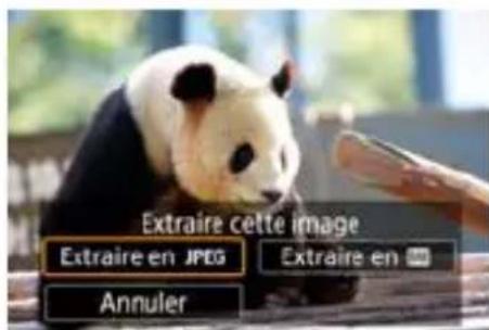 CANON PowerShot G7X Mark III - Extraire des photos à partir d'images en rafale RAW - 3