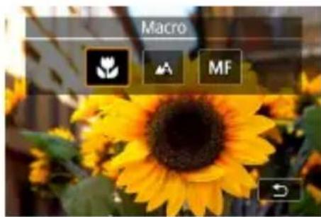 CANON PowerShot G5 X Mark II - Prise de vue en gros plan (Macro) - 1