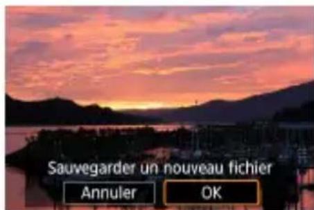 CANON PowerShot G5 X Mark II - Traitement des images RAW - 3