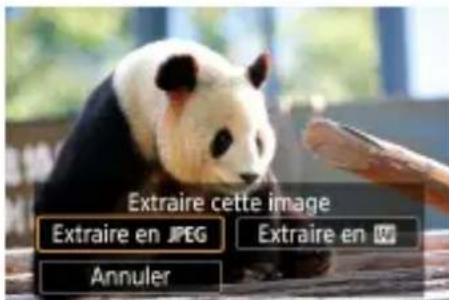 CANON PowerShot G5 X Mark II - Extraire des photos à partir d'images en rafale RAW - 4