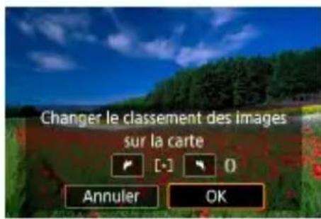 CANON PowerShot G5 X Mark II - Classement des images - 3