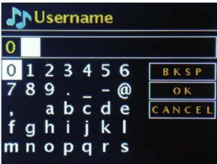 Telestar DABMAN i500 BT - Musik Streaming Dienste - 2