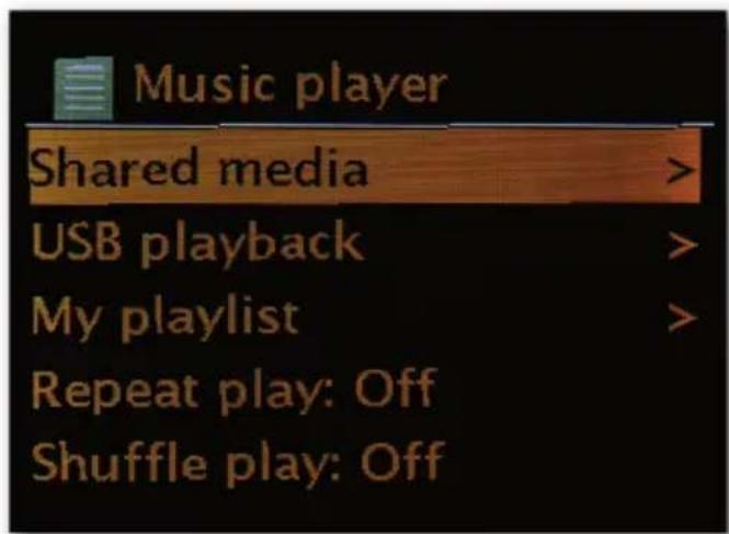 Telestar DABMAN i500 BT - Music player (UPnP) - 1
