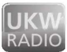 Telestar DABMAN i500 BT - HYBRID-HiFi-Baustein - 4