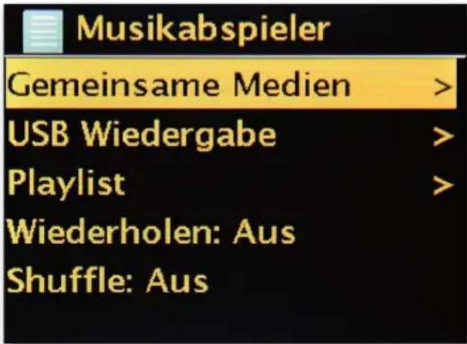 Telestar DABMAN i500 BT - Musikabspieler (UPnP) - 1