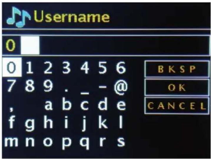 Telestar DABMAN i500 BT - Services de musique en streaming - 2