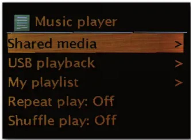 Telestar DABMAN i500 BT - Muziekspler (UPnP) - 1