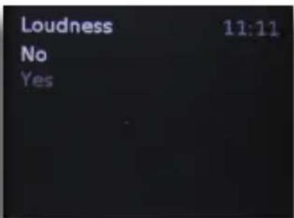 Telestar DABMAN d10 - OPERATION - 4