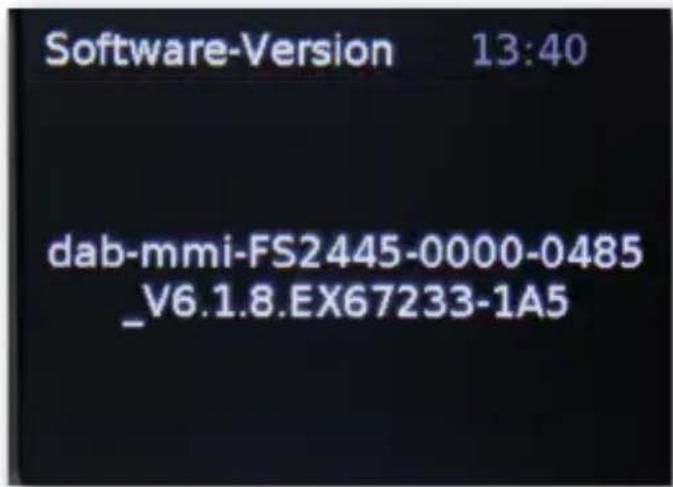 Telestar DABMAN d10 - Software Version - 1