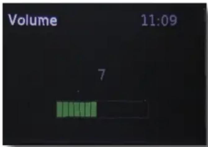 Telestar DABMAN d10 - Volume - 1