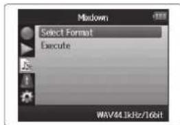 ZOOM H6 - Format WAV uniquement - 3