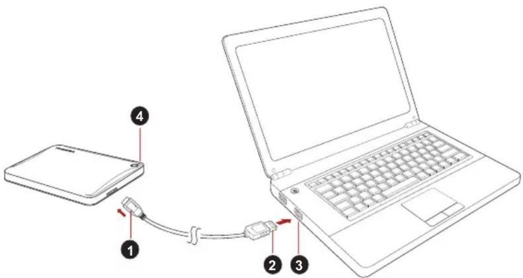 TOSHIBA Canvio Advance - Kople stasjonen til datamaskinen - 1